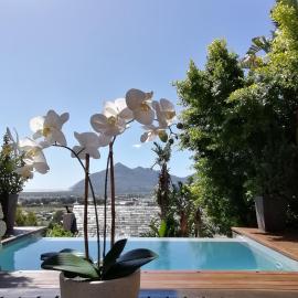 African Violet - Terraces, hótel í Noordhoek