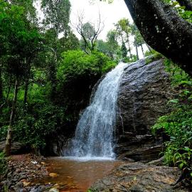 Karadikallu Homestay - Private Waterfalls, Trek, Hill Top, Home Food, hotel a Sakleshpur