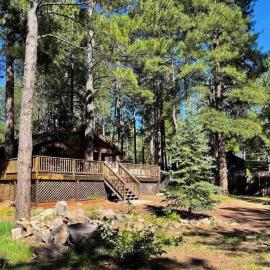 Viesnīca Twin Pines Cabin in the Woods pilsētā Mountainaire