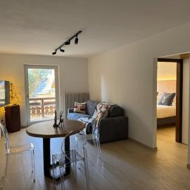 Ciasa Saslonch Apartment