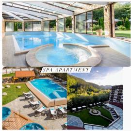 Lorena Holiday Spa Свети Спас, hotel a Velingrad