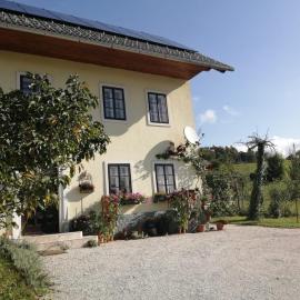 Marta's House