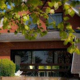 B&B Goudsbloempje