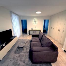 San Carlo Luxury Apartments, Hotel in Lugano