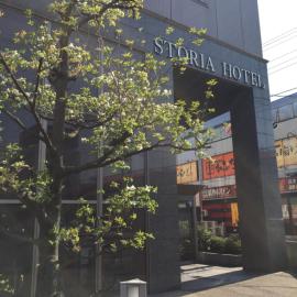 Suzuka Storia Hotel, хотел в Сузука