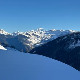 Les racines et les cimes