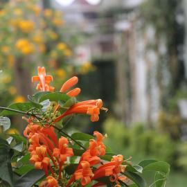 At Home Suites, Moshono Garden Arusha、Nkoanruaのホテル
