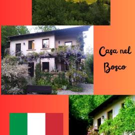 Casa nel bosco