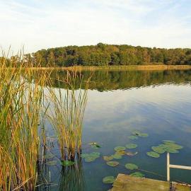 idyllisches Ferienhäuschen am See