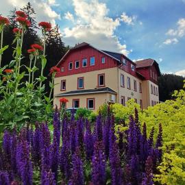 Haus Stefanie Elvire: Kurort Altenberg şehrinde bir otel