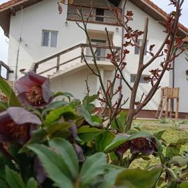 Casa Gheorghe, khách sạn ở Balabancea