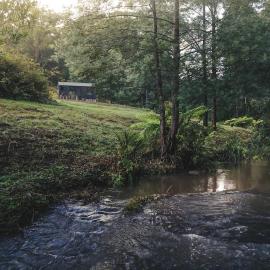 Secluded Off-Grid Cabin Tucked Into The Bush - Bastian, hotel in Hiawatha