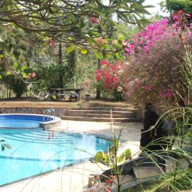 The Gecho Inn Country، فندق في جيبارا