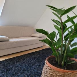 Ferienwohnung Hausnummer 1, Kontaktloser Self check-in