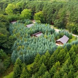 Delamere Forest Cabins - Forest Holidays, hotel i Mouldsworth