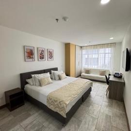Hotel Rosales Suite