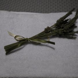 Δ3 Τα διαμερίσματα του δασκάλου، فندق في فيلياترا