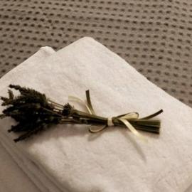 Δ4 Τα διαμερίσματα του δασκάλου, hotel u gradu Filiatra