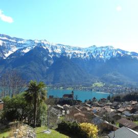 Viewpoint, hotell i Ringgenberg