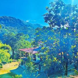 Sun City Family Inn