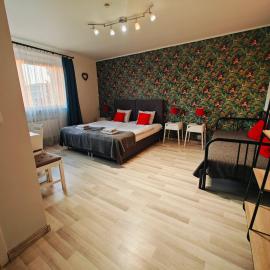 7th Room Guest House, hotel in Oświęcim
