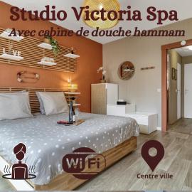 Studio Victoria SPA, au coeur du centre-ville CABINE HAMMAM -WIFI -GRAND LIT DOUBLE QUEEN SIZE 160x200cm: Aix-les-Bains'de bir otel