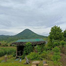Tiny House Balas，Maluk的飯店