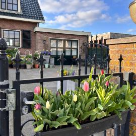 Flowerbed