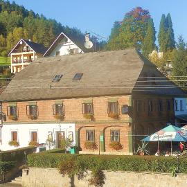 Penzion Dřevák, hotel in Jetřichovice