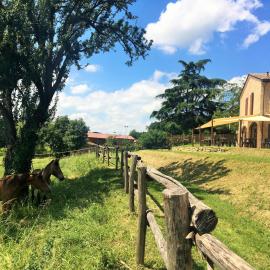 Agriturismo Il Colle del Falco, hotel in Borghetto
