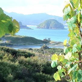 Medlands Beach Bach, hotel di Medlands