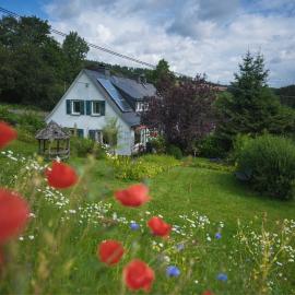 Bei Fuchses am Wisentpfad