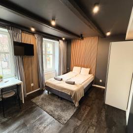 Apartament z widokiem na pomnik Kopernika - Rynek Staromiejski