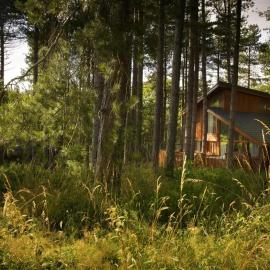Thorpe Forest Cabins - Forest Holidays