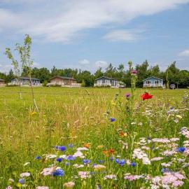 Otters Mead Boutique Lodges, готель у місті Beetley