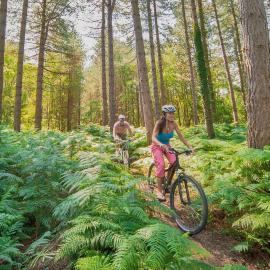 The Sherwood Hideaway Lodges