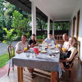Jungle View Guest