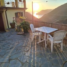 Il vigneto