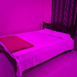 Suyog Homestay Malvan