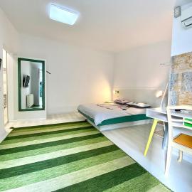 Pensiunea Damir Arad, hotel v destinaci Arad