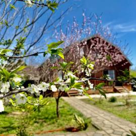 sweet village, hotel a Tskaltubo