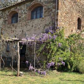 Podere Bellavista