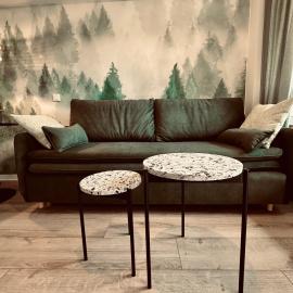 Apartament Zielona Równica