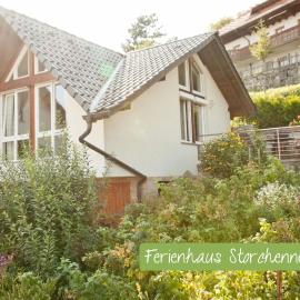 Ferienwohnung Storchennest mit E-Ladestation, hotel in Waldshut-Tiengen