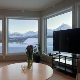 Mountain View apartment