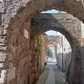 La loggia del pappagallo