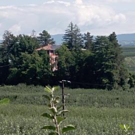 Villa Rosa since 1914, Brenta Dolomite