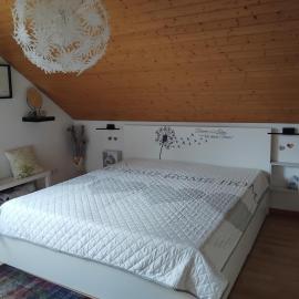 Ferienwohnung Monteurwohnung Pusteblume