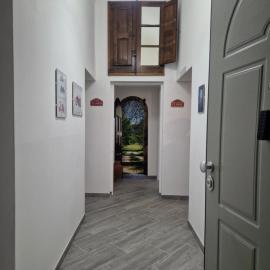 Camere di Kentia