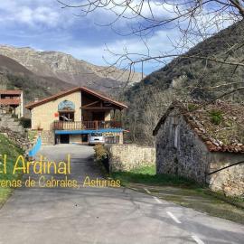 Apartamentos El Ardinal, hotel in Arenas de Cabrales
